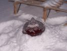 Dateiname: 100_1864.jpg
DateigröĂe: 36KB
Abmessungen: 600x450
hinzugefĂŒgt am: 14.MĂ€rz 2006 100_1864.jpg