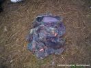 Dateiname: 2 (24).jpg
DateigröĂe: 174KB
Abmessungen: 600x450
hinzugefĂŒgt am: 27.MĂ€rz 2005 2 (24).jpg