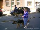 Dateiname: RIMG0013.jpg
Dateigröße: 110KB
Abmessungen: 600x450
hinzugefügt am: 19.Juni 2005 RIMG0013.jpg